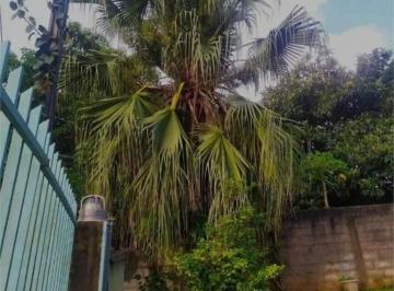 Casa · 600m² · 2 Quartos · 2 Vagas · Oportunidade Imperdível: Rural à Venda no Centro de Piedade-SP! 2 Quartos, 1 Sala, 1 Banheiro, 2 Vag