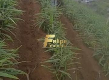 Foto 01 · EXCELENTE TERRENO À VENDA EM CARAMURU, SANTA LEOPOLDINA/ES!