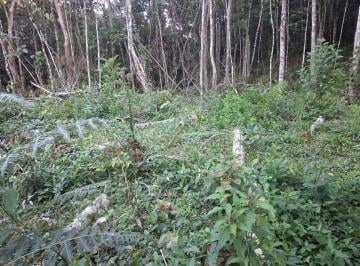 Terreno , Juquitiba · Terreno de 20mil metros