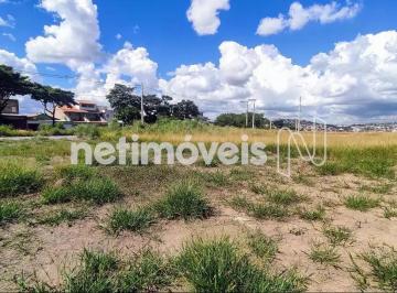 69ba4141-a27c-4a1c-871b-5e50f4d0c2ac.webp · Terreno para Locação, Duque de Caxias, Betim