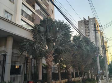 Foto 01 · Apartamento para locação no Parque Campolim, Sorocaba-SP: 3 quartos, 1 suíte, 2 salas, 2 banheiros, 