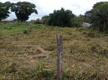 Terreno , São Francisco do Sul · Terreno escriturado na Praia do Ervino