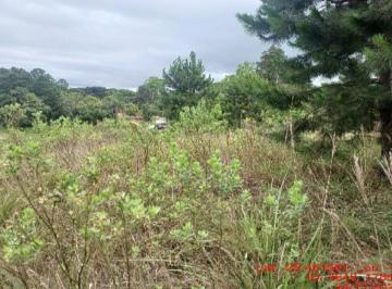 Rural · 22502m² · Rurais - leilão - na Balsa Nova
