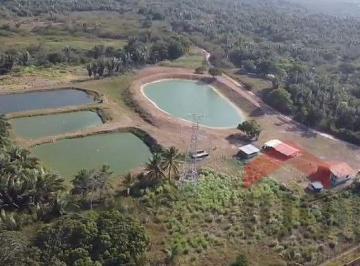 Rural · Rurais à venda - em São José de Ribamar