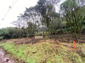Foto 01 · Sítio à venda em Igrejinha-RS, bairro Serra Grande, com 5 hectares de área. Venha conferir!