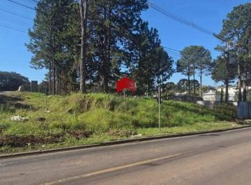Terreno · 4250m² · Terreno com 4.250m² , à venda, no bairro SAO MIGUEL em Curitiba