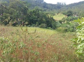 Rural · 18000m² · Sítio à venda no bairro Planície Alta - Guabiruba/SC