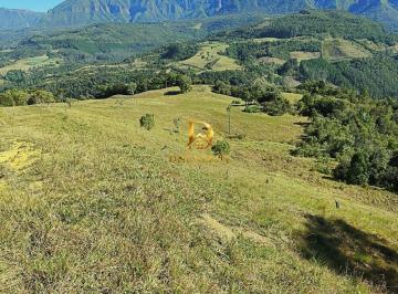 somm1jc2ytvlmtlhnjczn2qz_md · Imóvel rural de 75 hectares em Anitápolis com água, escritura, campo e vista
