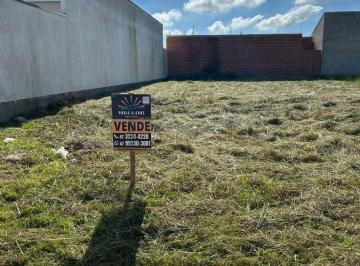 Terreno , Penha · TERRENO À VENDA EM PENHA – EXCELENTE LOCALIZAÇÃO!