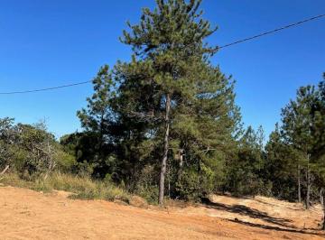 Terreno , Brasília · Lote - Condomínio Prime - Lago Norte