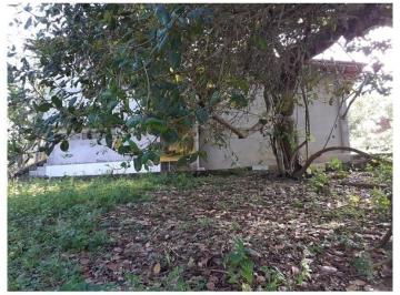 e8b906b6e3a950cec85ee8bea9229346.jpg · Sítio para Venda , BairroTrês Bocas, em Cruz das Almas-BA