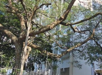 Apartamento · 88m² · 2 Quartos · 1 Vaga · Apartamento 2 Dormitórios com vaga, no Bairro Moinhos de Vento em Porto Alegre