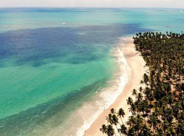 Apartamento de 1 quarto, Tamandaré · SUNSET BEACH HALL, studio, lazer completo, Tamandaré