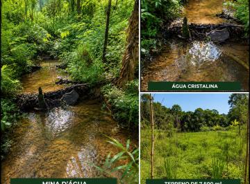 Terreno , Juquitiba · Terreno com Nascente