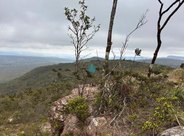Foto 06 · VENDE-SE TERRENO COM 16 TAREFAS BAIANAS EM LAGOA DE BOA VISTA - SEABRA - BA!