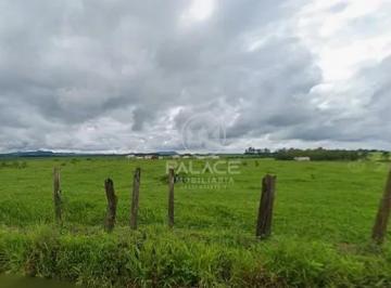 Área Rural 5,5 Alqueires À Venda Anhumas Piracicaba · Área Rural 5,5 Alqueires À Venda Anhumas Piracicaba