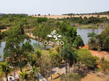 Rural · 196600m² · FAZ. DUPLA APTIDÃO COM ÁREA DE LAZER - PODENDO ARRENDAR PARA SOJA - NIL. - CÓD. 15912