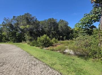 Lote à venda no PRAIA BELLA, PRAIA DO FORTE, Mata de São João, BA · Lote à venda no PRAIA BELLA, PRAIA DO FORTE, Mata de São João, BA