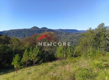 Rural Venda 29000m² de 1 quarto · Chácara em Estrada da Batingueira - Recosta - São Francisco de Paula/RS