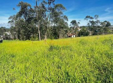aebbdc99a0172a98190daa89ad01fb2258c3699d · Terreno à venda, 559 m² por R$ 180.000 - Laranjinha - Criciúma/SC