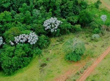Terreno à venda, 9000 m² por R$ 370.000 - Canedos - Piracaia/SP · Terreno à venda, 9000 m² por R$ 370.000,00 - Canedos - Piracaia/SP