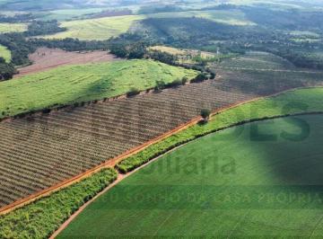 Rural · OPORTUNIDADE EXCLUSIVA NO AGRONEGÓCIO