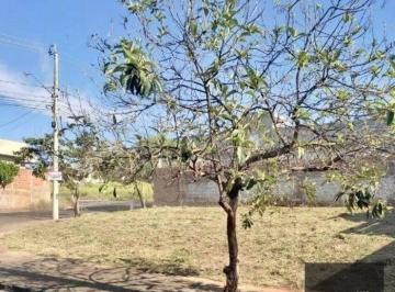 5d5e73e7476e1b8f73d9a950bcf7c01c08da23a4 · Terreno à venda, 260 m² por R$ 175.000,00 - Parque Residencial J. Macedo - São José do Rio Preto/SP