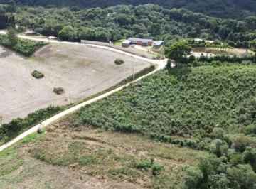 Rural , Almirante Tamandaré · Área à Venda em Almirante Tamandaré – 5.000 m²