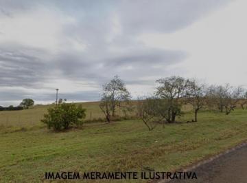 Principal - 65563 · Leilão - Rural - De R$1.465.541,00 Por R$732.770,50