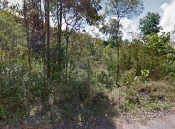 Principal - 53407 · Leilão - Rural - De R$6.800.000,00 Por R$3.400.000,00
