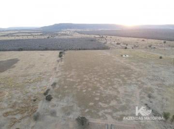 i1.jpg · FAZENDA PARA PECUÁRIA