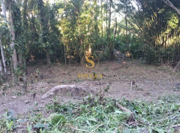 57716_iRuQ6_577166a60d8a283152.jpg · Imoveis - em Rio Tavares