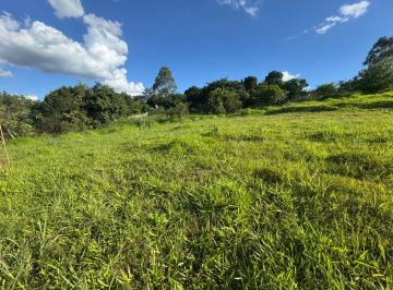 Terreno , Gama · Terreno 1 Hectare com Gruta e Cachoeira - Ponte Alta Sul