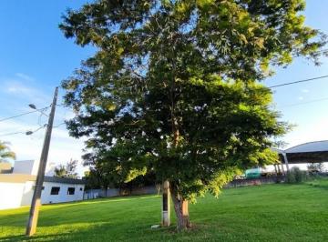 Foto 01 · Terreno em loteamento tranquilo e de ótimo padrão - 432m²