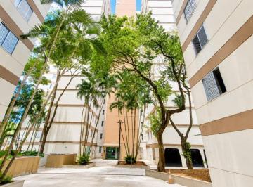 078d8a10-7311-4d19-9433-3ddae7cbf473 · Aconchegante apartamento para locação em Jardim Íris com 3 quartos, 65m²