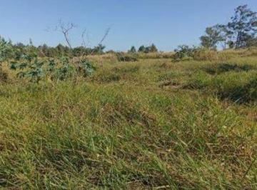 Rural · 48400m² · Rurais - leilão - em Itaúna do Sul