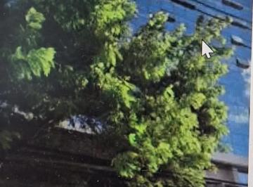 Comercial à venda, AFLITOS, Recife, PE · Comercial à venda, AFLITOS, Recife, PE