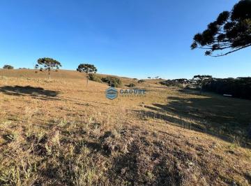 Rural · 78000m² · Chácara a venda com área de 7.8 hectares Vila Seca