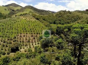 8e2349a18b9baccb5f56f9047ca2bd70140e3f0b · Fazenda à venda, 820000 m² por R$ 8.000.000,00 - Caquende - Delfim Moreira/MG