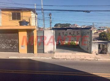 69dd739edb65df169b955feff4bbeb89.jpg · Terreno