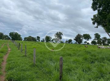 Rural · 1190m² · Fazenda à venda município de Cáceres-MT 1.190ha para pecuária à 63km de Cáceres BR 070 R$ 20.000.000