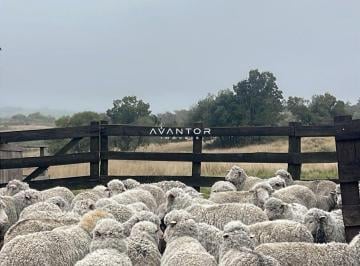 Rural · 70m² · 3 Quartos · 1 Vaga · Rurais à venda - em Santana da Boa Vista