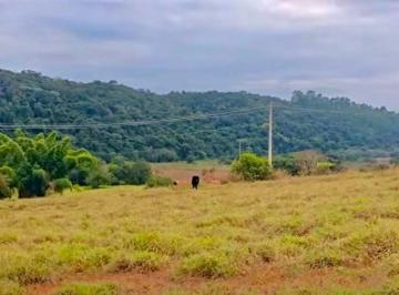 Terreno , Silvianópolis · OPORTUNIDADE EM SILVIANÓPOLIS/MG