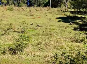 Terreno , Delfim Moreira · RECANTO DAS ARAUCÁRIAS