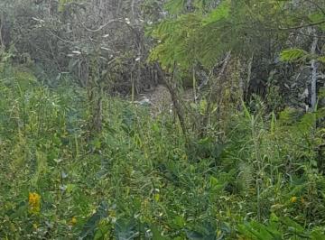terreno-a-venda-em-bertioga-morada-da-praia-827936350.jpeg · Terreno, 504m², à venda em Bertioga, Morada da Praia