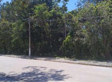 terreno-a-venda-em-bertioga-boraceia-6472145706de0aacb4bd7e50438a352f951.jpeg · Terreno à venda em Bertioga, BORACEIA