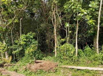 terreno-a-venda-em-bertioga-morada-da-praia-8911336230.jpeg · Terreno, 504m², à venda em Bertioga, Morada da Praia