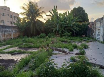 WhatsApp Image 2026-03-05 at 18.18.25 (1).jpeg · Oportunidade em Monte Castelo: Amplo Terreno 15x32 (480m²)