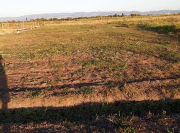 Rural · 1000m² · Terreno à Venda – Cruz Grande, Pindamonhangaba - SP