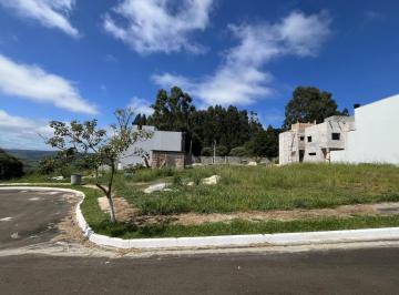 202411270935185867.jpg · Terreno para Venda em Guarapuava, Boqueirão